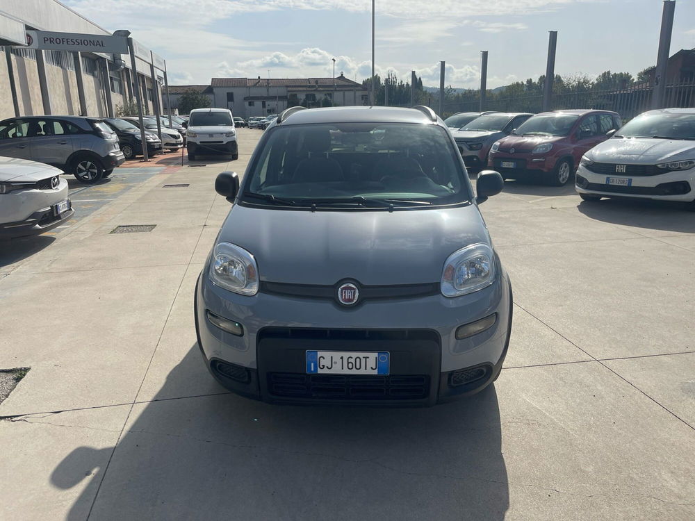 Fiat Panda usata a Frosinone (5)