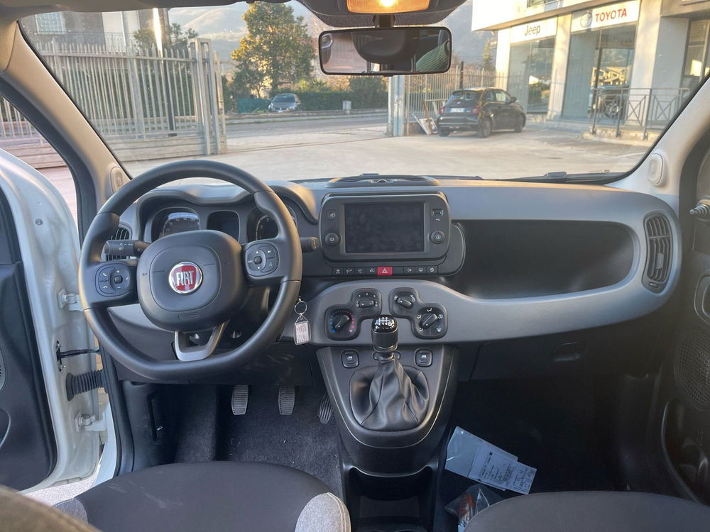 Fiat Panda usata a Frosinone (19)