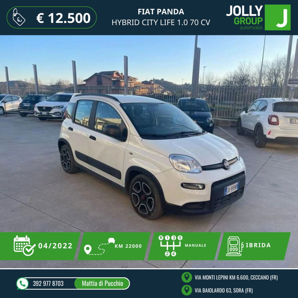 Fiat Panda usata a Frosinone