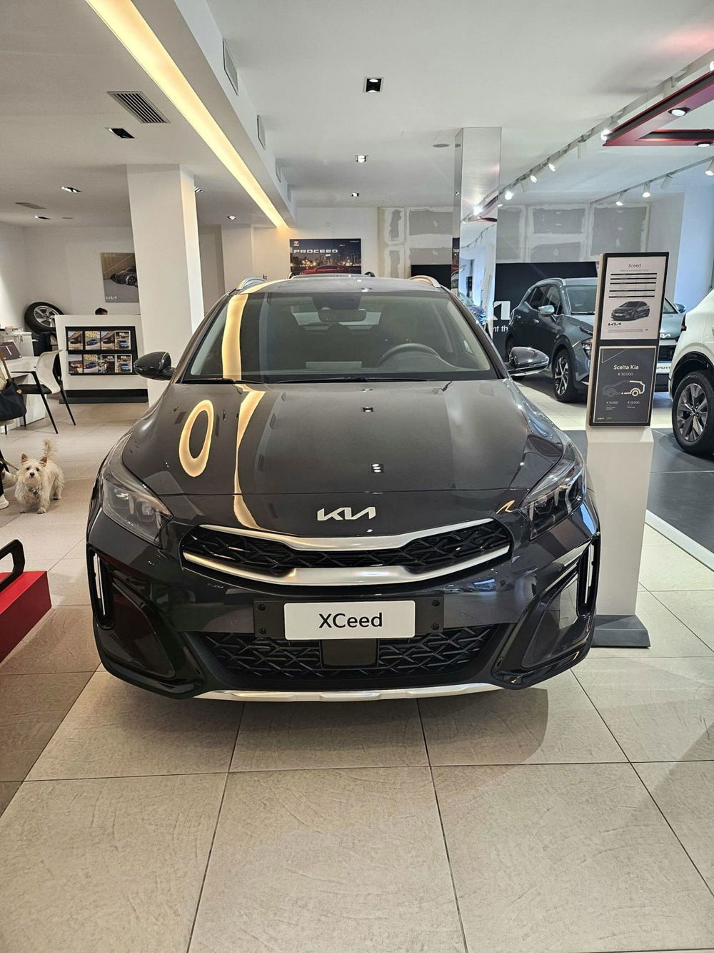 Kia XCeed nuova a Napoli (4)