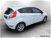 Ford Fiesta 1.4 5p. Bz.- GPL Titanium  del 2017 usata a Arezzo (9)