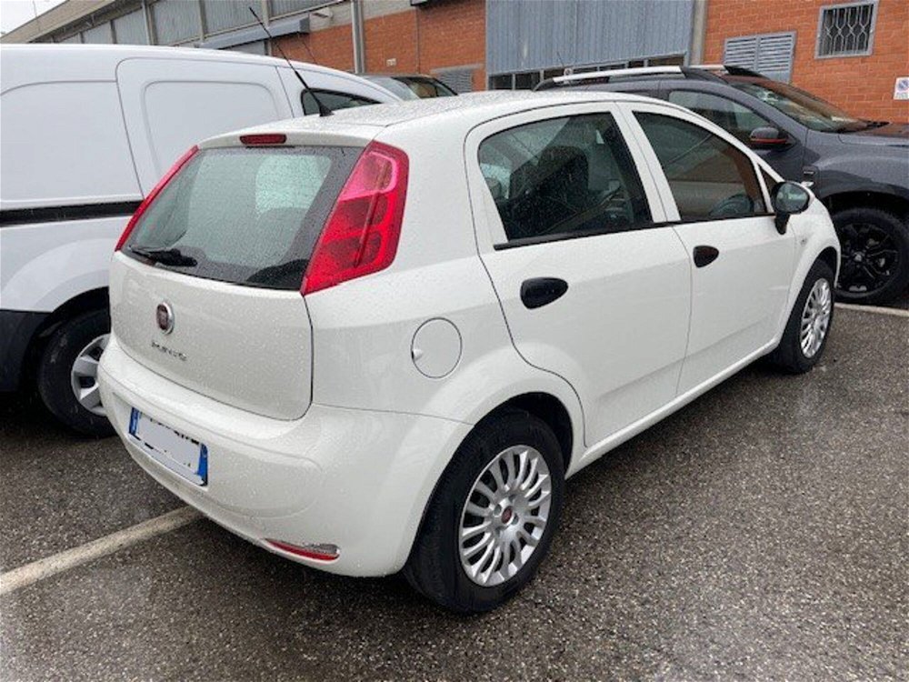 Fiat Punto 1.2 8V 5 porte Street  del 2017 usata a Rimini (2)
