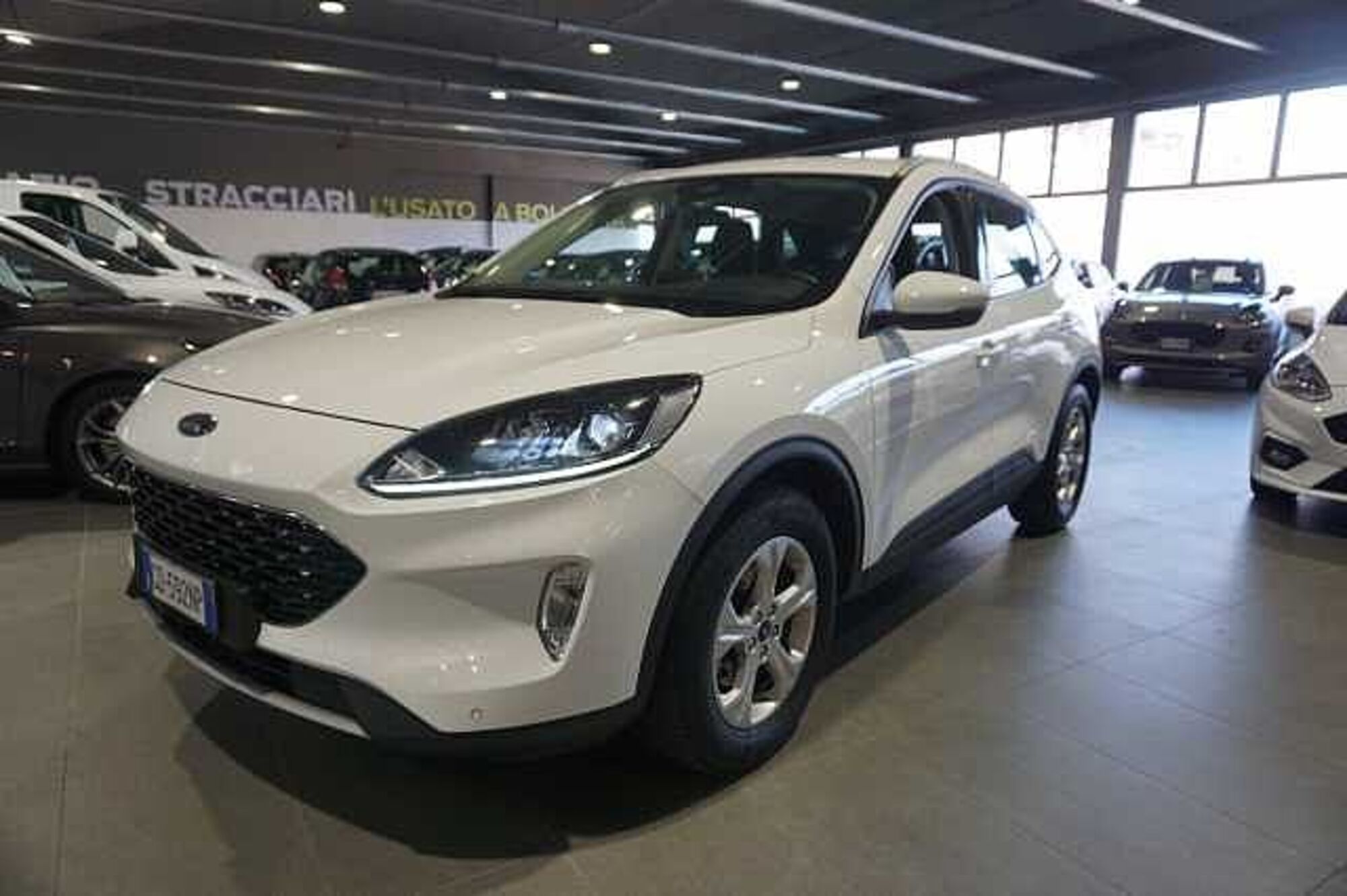 Ford Kuga 1.5 EcoBlue 120 CV 2WD Titanium  del 2021 usata a Bologna