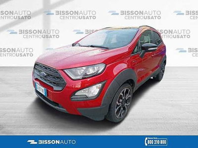 Ford EcoSport 1.0 EcoBoost 125 CV Start&amp;Stop Active del 2021 usata a Grumolo delle Abbadesse