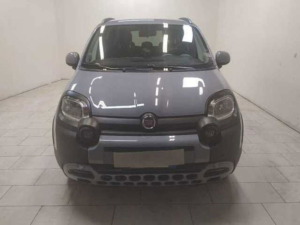 Fiat Panda usata a Cuneo (2)