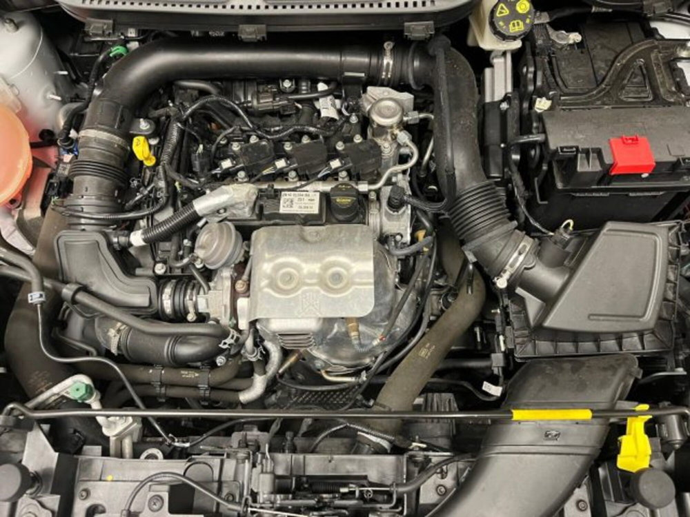 Ford EcoSport 1.0 EcoBoost 125 CV del 2019 usata a Biella (3)