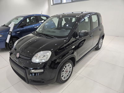 Fiat Panda Cross Cross 1.0 FireFly S&amp;S Hybrid  nuova a Prato