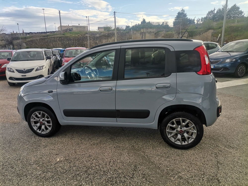 Fiat Panda usata a Matera (8)