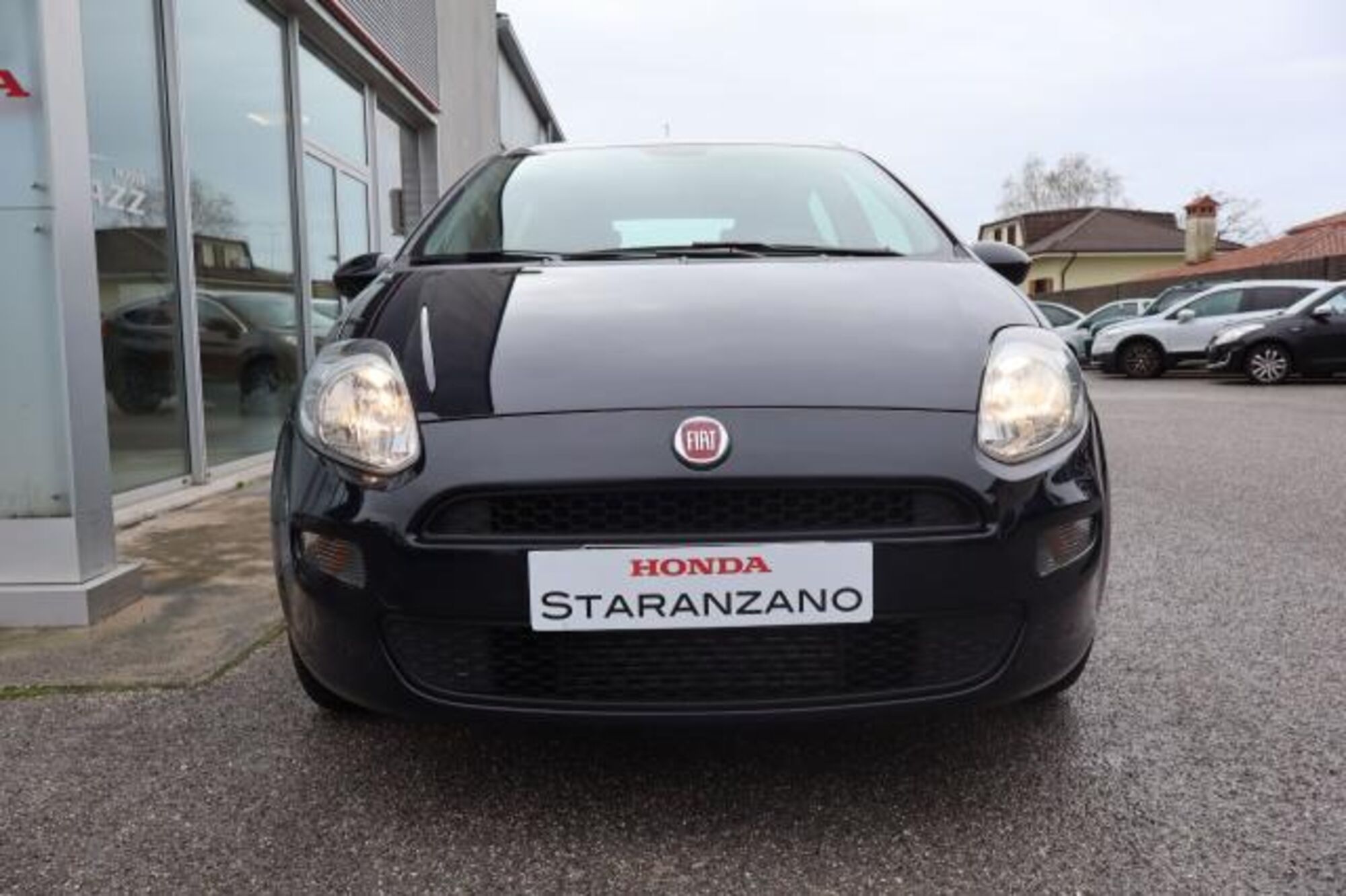 Fiat Punto 1.3 MJT II S&amp;S 95 CV 5 porte Street  del 2017 usata a Staranzano