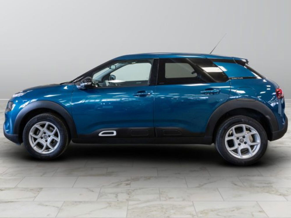 Citroen C4 Cactus usata a Torino (2)