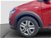 Dacia Sandero Stepway 1.0 tce Essential Eco-g 100cv del 2021 usata a Roma (15)