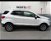 Ford EcoSport 1.5 Ecoblue 100 CV Start&Stop Titanium  del 2019 usata a Pisa (6)