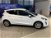 Ford Fiesta 1.0 Ecoboost 125 CV DCT Titanium del 2021 usata a Cesena (12)