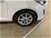 Ford Fiesta 1.0 Ecoboost 125 CV DCT Titanium del 2021 usata a Cesena (15)