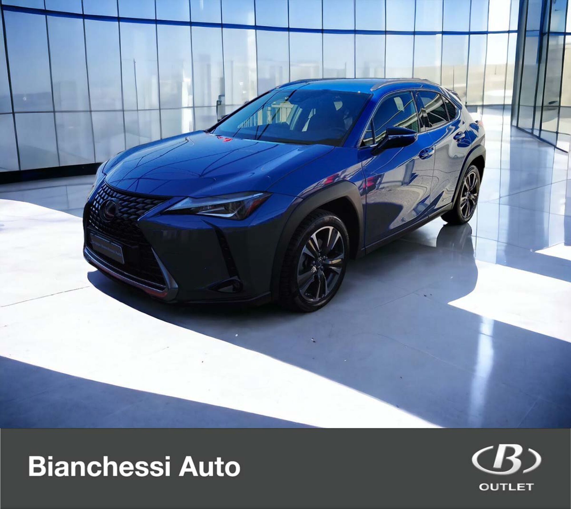 Lexus UX Hybrid 4WD Executive  del 2019 usata a Madignano