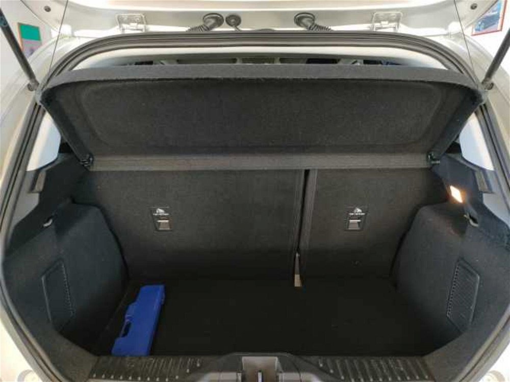 Ford Fiesta 1.0 Ecoboost 125 CV 5 porte Titanium  del 2021 usata a San Bonifacio (5)