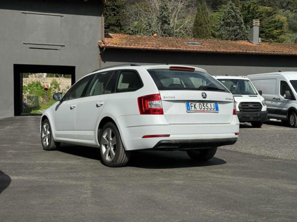 Skoda Octavia Station Wagon 1.6 TDI CR 115 CV Wagon Ambition  del 2017 usata a Massarosa (4)