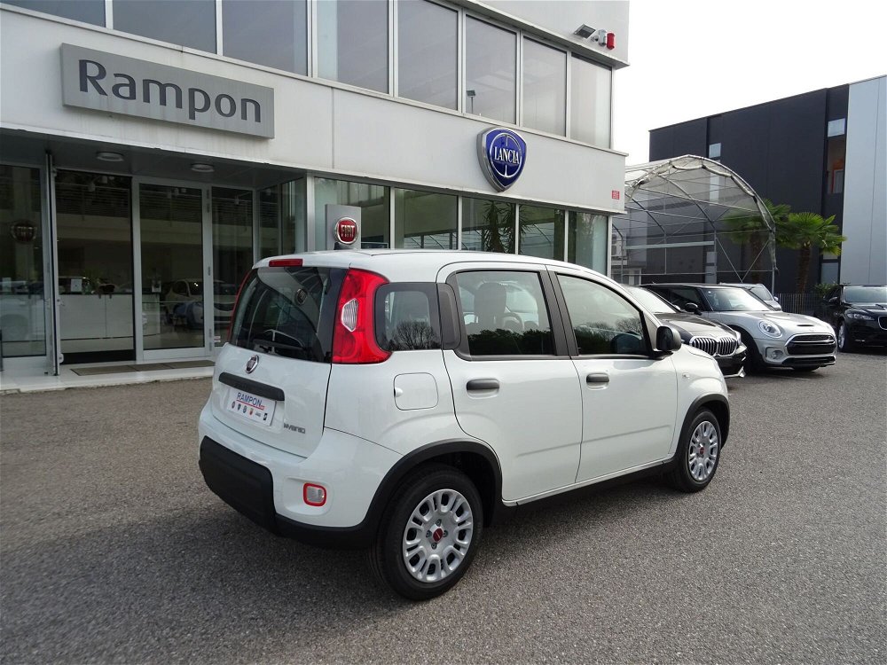 Fiat Panda 1.0 FireFly S&S Hybrid Easy nuova a San Dona' Di Piave (3)