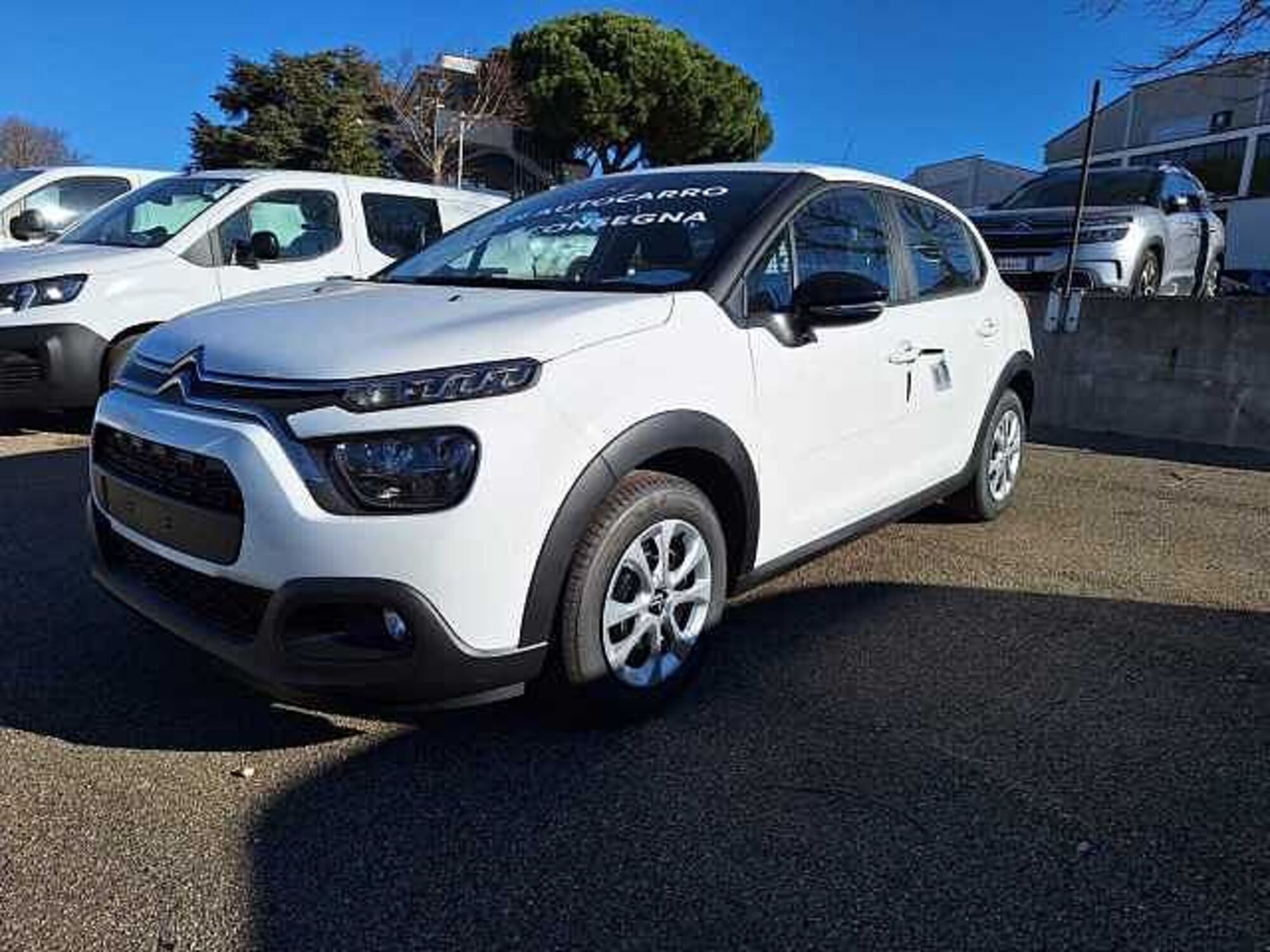 Citroen C3 BlueHDi 100 S&amp;S Van Live  nuova a Viterbo