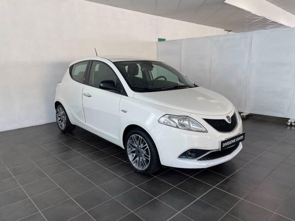 Lancia Ypsilon 1.3 MJT 16V 95 CV 5 porte S&S Platinum  del 2016 usata a Torino (4)