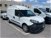 Fiat Doblò Furgone 1.6 MJT 105CV PL-TA Cargo Maxi XL Lamierato  del 2018 usata a Verdello (7)
