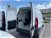 Fiat Doblò Furgone 1.6 MJT 105CV PL-TA Cargo Maxi XL Lamierato  del 2018 usata a Verdello (9)