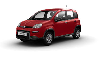 Fiat Panda Cross Cross 1.0 FireFly S&amp;S Hybrid  nuova a Verdello