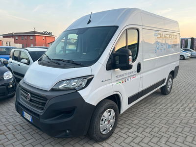 Fiat e-Ducato Furgone 35 MH1 122cv 47kWh del 2021 usata a Terranuova Bracciolini