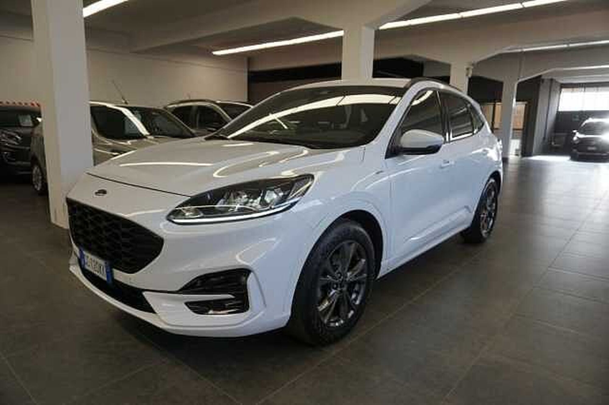 Ford Kuga 1.5 EcoBlue 120 CV 2WD ST-Line  del 2020 usata a Bologna