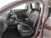 Ford Focus Station Wagon 2.0 EcoBlue 150 CV SW Vignale del 2019 usata a Torino (18)