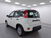 Fiat Panda 1.0 firefly hybrid s&s 70cv 5p.ti nuova a Cuneo (6)