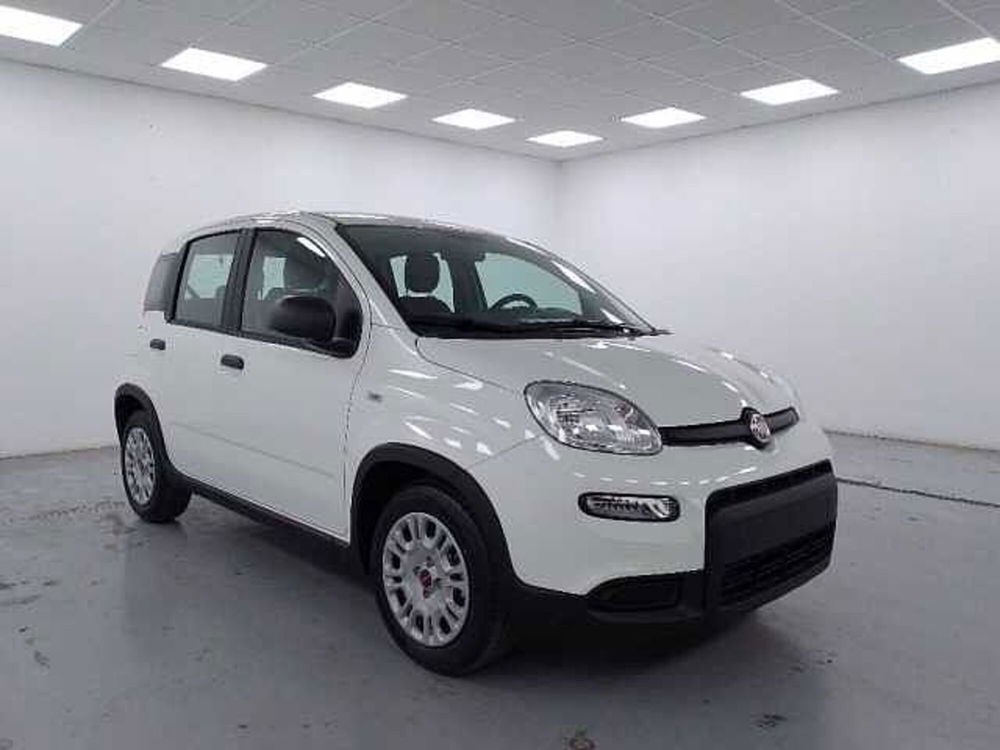 Fiat Panda 1.0 firefly hybrid s&s 70cv 5p.ti nuova a Cuneo (3)