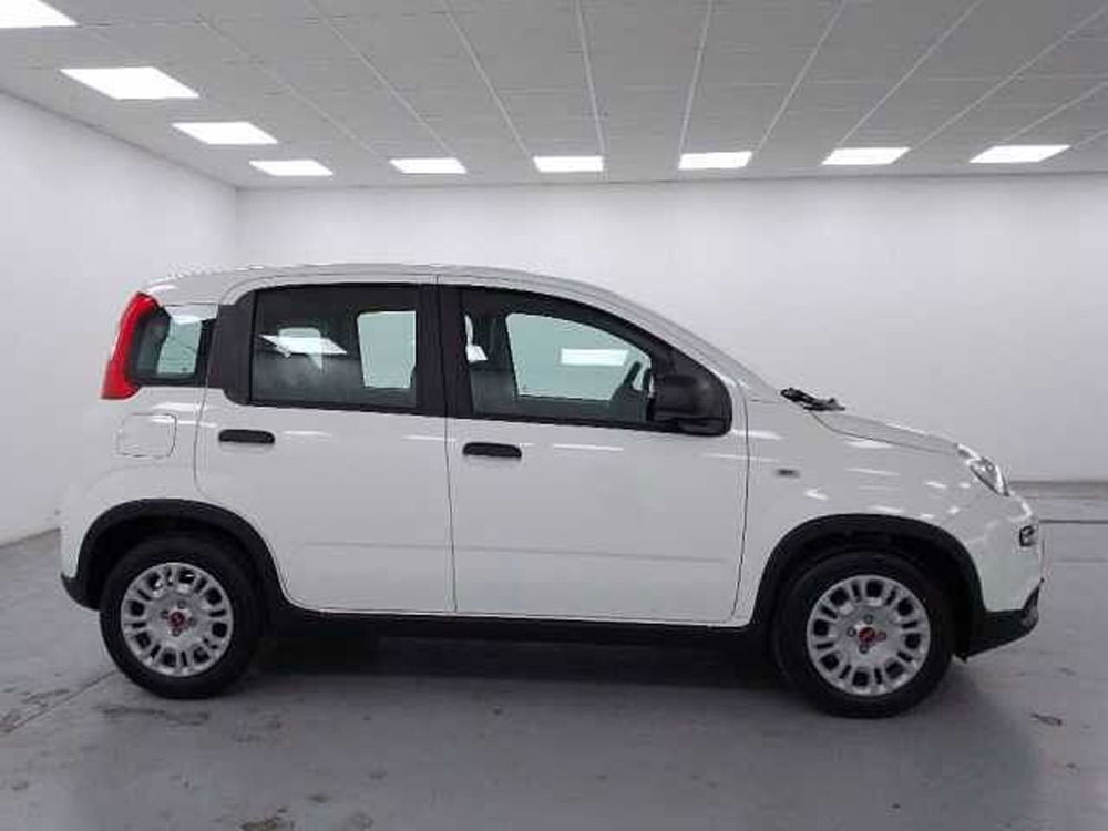 Fiat Panda 1.0 firefly hybrid s&s 70cv 5p.ti nuova a Cuneo (4)