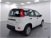Fiat Panda 1.0 firefly hybrid s&s 70cv 5p.ti nuova a Cuneo (8)