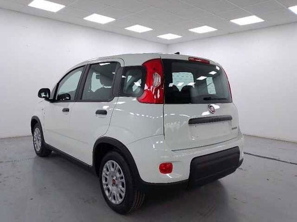 Fiat Panda nuova a Cuneo (6)