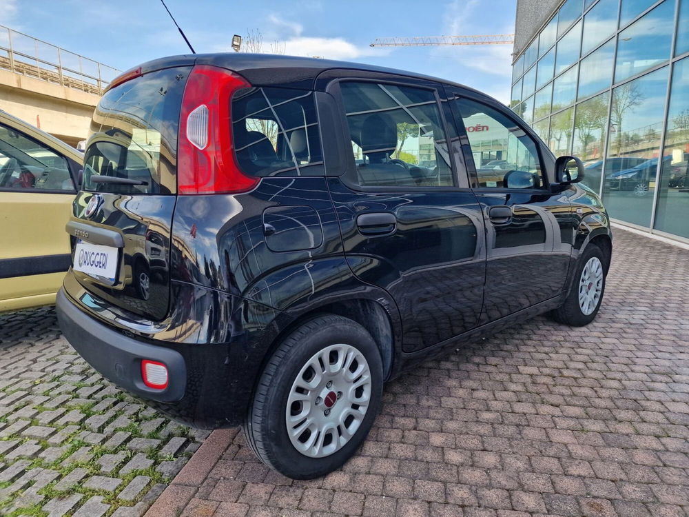 Fiat Panda usata a Rimini (6)