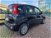 Fiat Panda 1.2 GPL Pop Van 2 posti  del 2017 usata a Rimini (6)