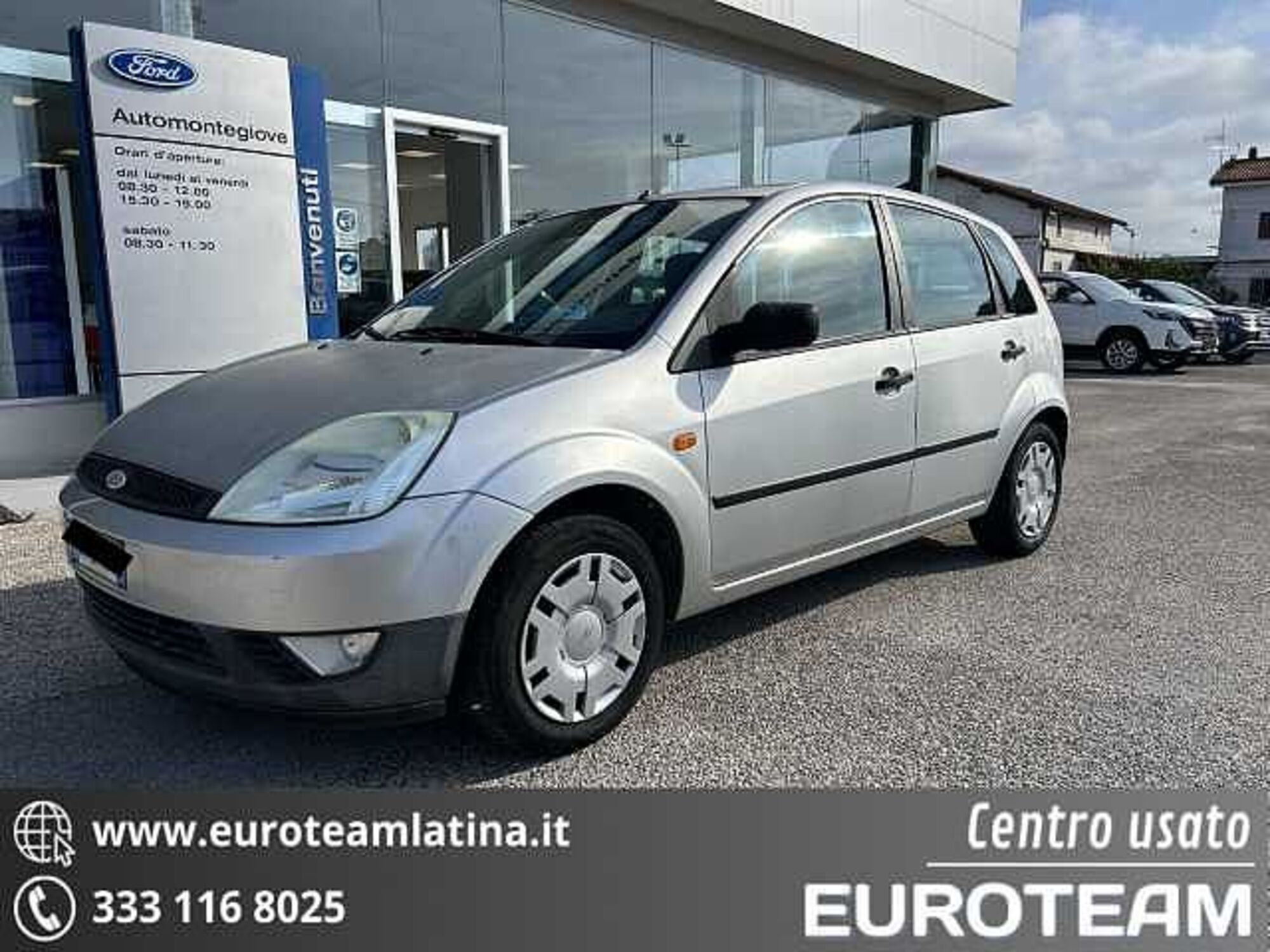 Ford Fiesta 1.4 TDCi 5p. Zetec  del 2004 usata a Latina