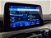 Ford Kuga 1.5 EcoBlue 120 CV 2WD Titanium  del 2021 usata a Roma (16)