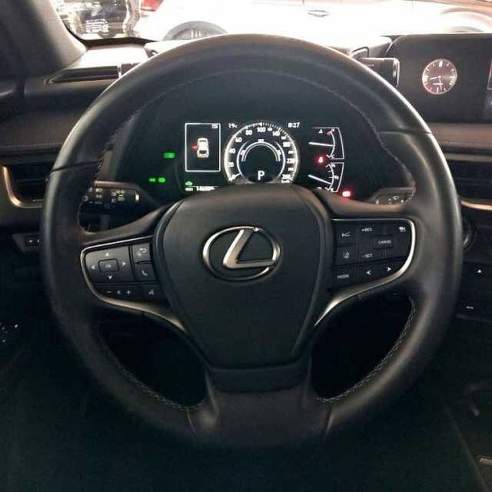 Lexus UX usata a Barletta-Andria-Trani (12)