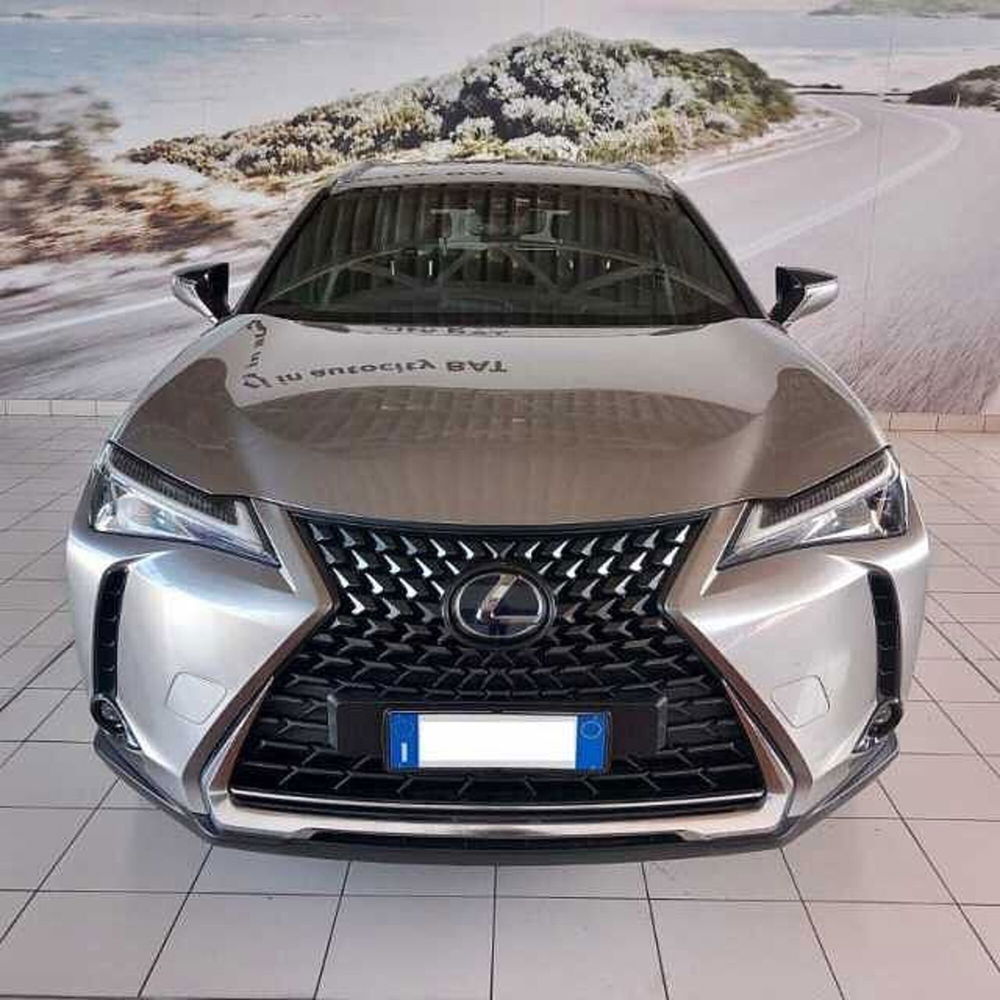 Lexus UX usata a Barletta-Andria-Trani (2)