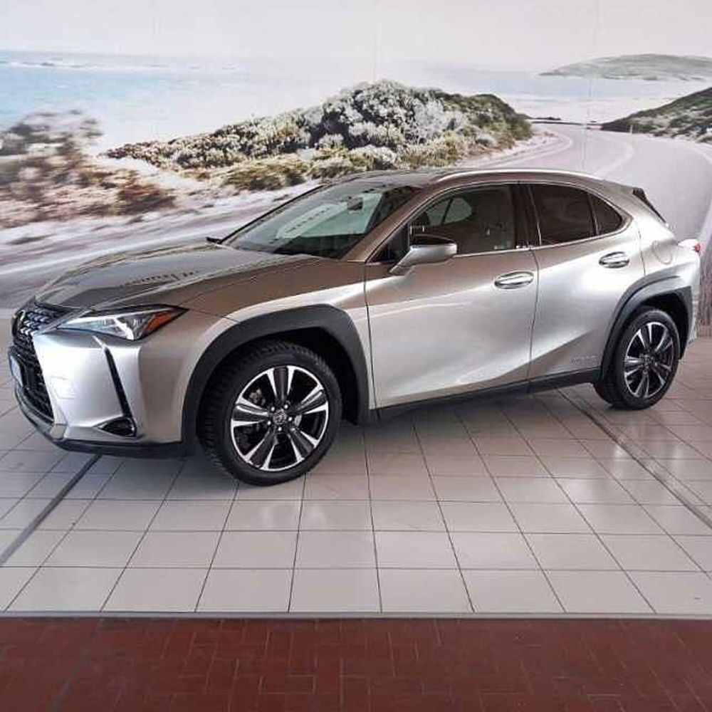 Lexus UX usata a Barletta-Andria-Trani (20)