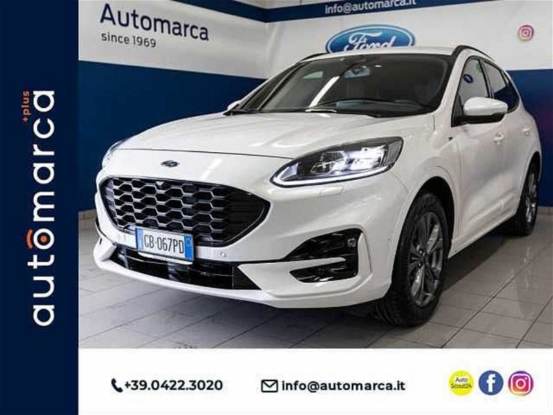 Ford Kuga 1.5 EcoBoost 150 CV 2WD ST-Line X my 19 del 2020 usata a Silea