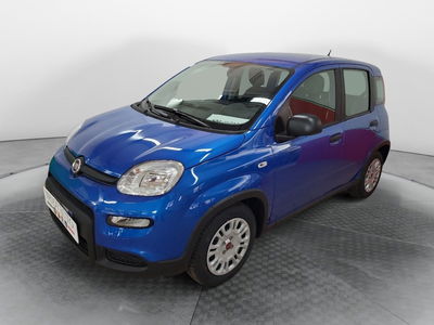 Fiat Panda Cross Cross 1.0 FireFly S&amp;S Hybrid  nuova a Terranuova Bracciolini