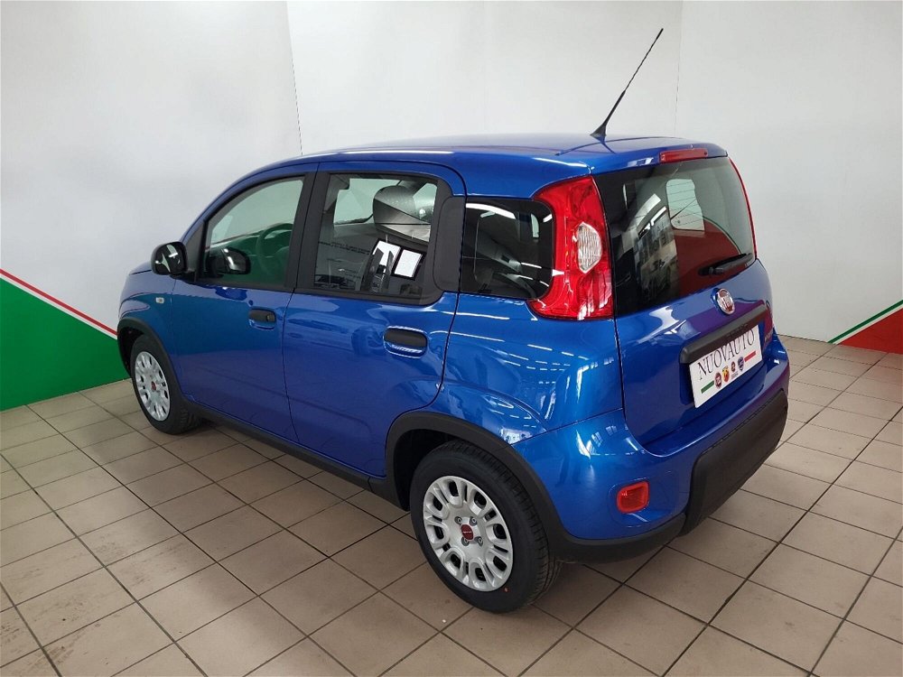 Fiat Panda 1.0 FireFly S&S Hybrid Easy nuova a Terranuova Bracciolini (4)
