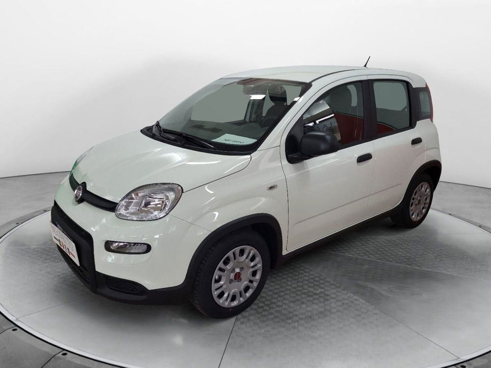 Fiat Panda Cross Cross 1.0 FireFly S&S Hybrid  nuova a Terranuova Bracciolini