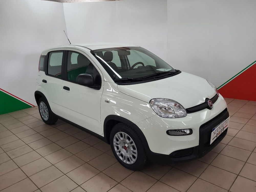 Fiat Panda Cross Cross 1.0 FireFly S&S Hybrid  nuova a Terranuova Bracciolini (2)