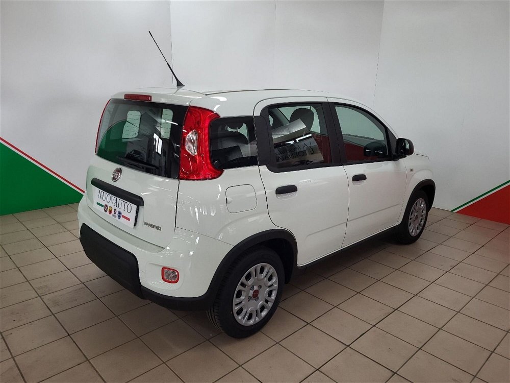Fiat Panda Cross Cross 1.0 FireFly S&S Hybrid  nuova a Terranuova Bracciolini (3)