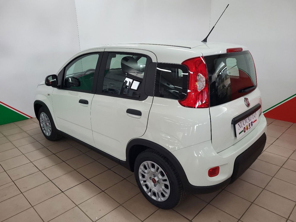 Fiat Panda Cross Cross 1.0 FireFly S&S Hybrid  nuova a Terranuova Bracciolini (4)