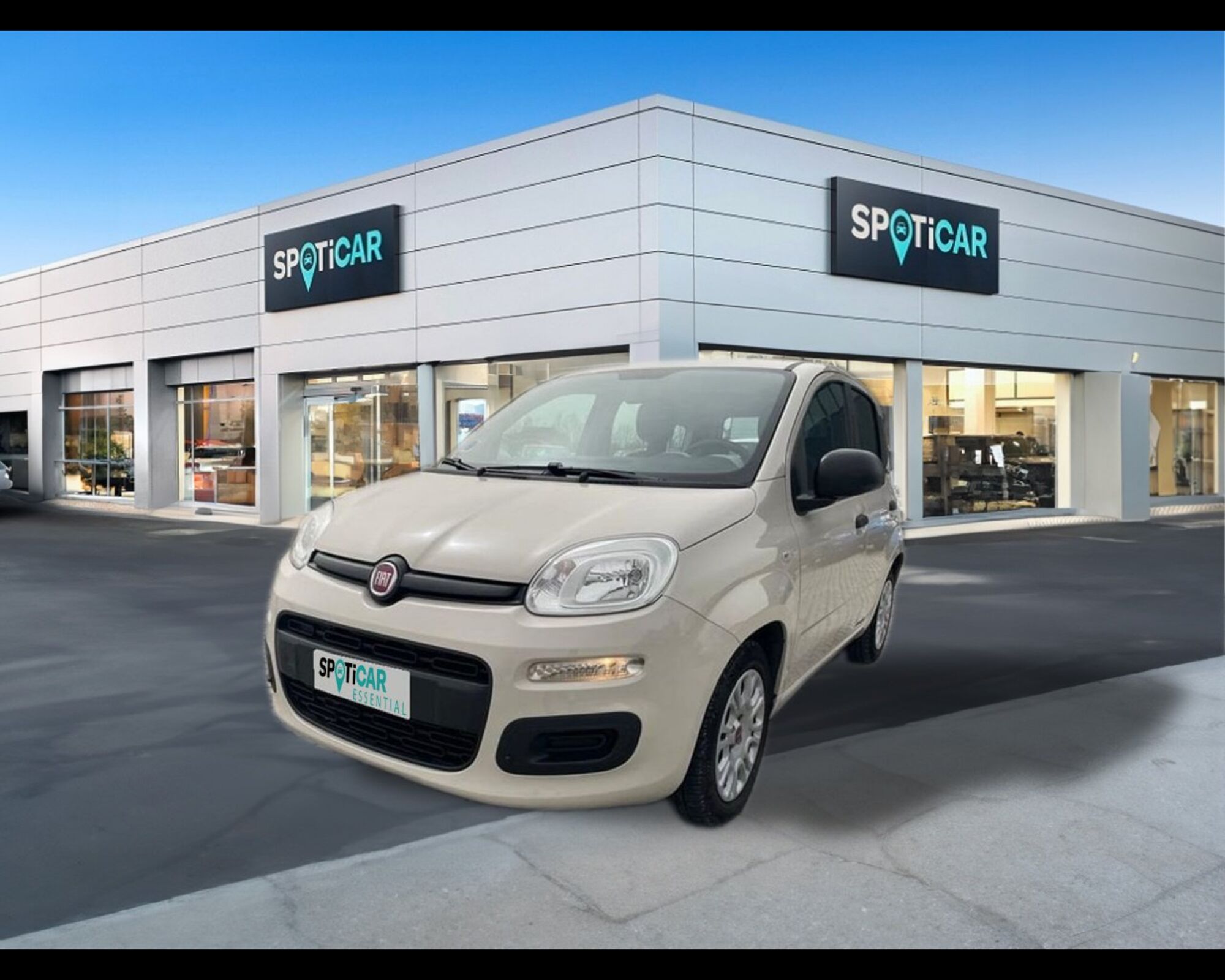 Fiat Panda 1.2 EasyPower Easy  del 2015 usata a Massarosa